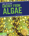 Energy from Algae by Clara Maccarald