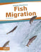 Fish Migration by Jen Breach