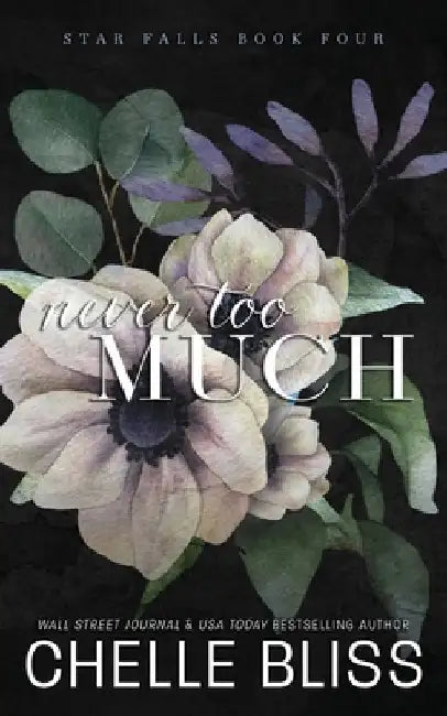 Never Too Much: Discreet Edition by Chelle Bliss