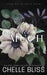 Never Too Much: Discreet Edition by Chelle Bliss