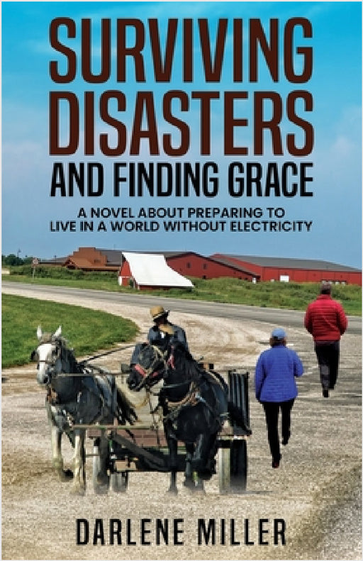 Surviving Disasters and Finding Grace: A Novel about Preparing to Live in a World Without Electricity by Darlene Miller