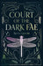 Court of the Dark Fae by Aiysha Qureshi