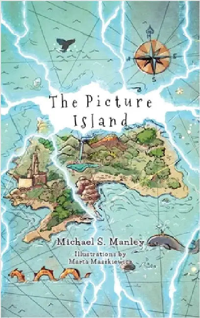 The Picture Island by Manley, Michael S.