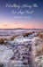 Walking Along The Ice Age Trail by Annette Towler