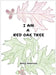 I Am a Red Oak Tree by Betty Oakerson