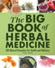 The Big Book of Herbal Medicine: 300 Natural Remedies for Health and Wellness by Tina Sams
