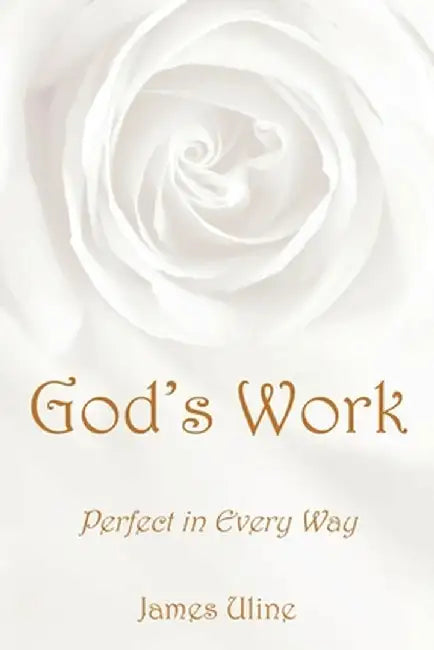 God's Work: Perfect in Every Way by James Uline