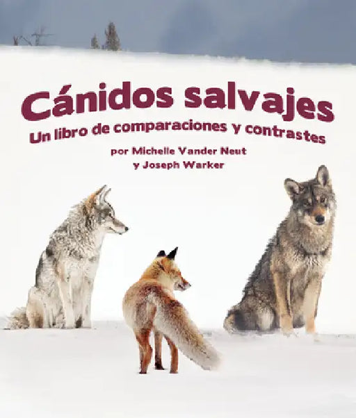 Cánidos Salvajes: Un Libro de Comparaciones Y Contraste by Vander Neut, Michelle