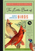 The Little Book of North American Birds: A Kid's Guide to North America's Feathered Friends by Forrest Everett