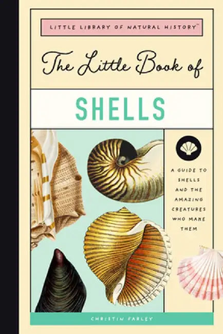 The Little Book of Shells: A Kid's Guide to Shells and the Amazing Mollusks Who Make Them by Forrest Everett