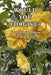 Would You Forgive?: From Child Abuse to Self-Love by Lois Einhorn