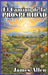 El Camino de la Prosperidad by James Allen