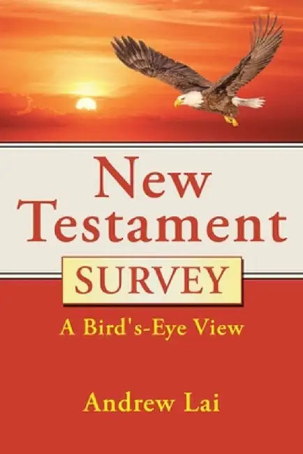 New Testament Survey: A Bird's-Eye View by Andrew Lai