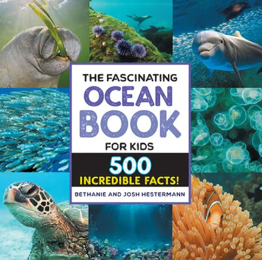The Fascinating Ocean Book for Kids: 500 Incredible Facts! by Bethanie Hestermann