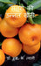 Improved Cultivation of Mandarin / संतरा की उन्नत खेती by S. K. Tyagi