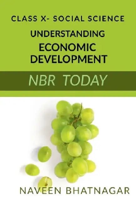 Class X Understanding Economic Development by Naveen Bhatnagar