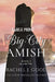 Big-City Amish: Amish Sisters & Friends LARGE PRINT by Rachel J. Good