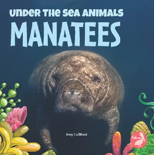 Manatees by Amy Culliford
