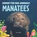 Manatees by Amy Culliford