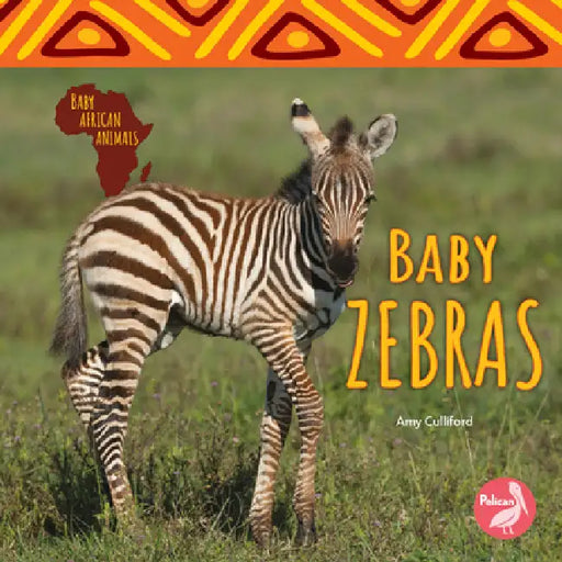 Baby Zebras by Amy Culliford