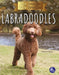 Labradoodles by Christina Earley