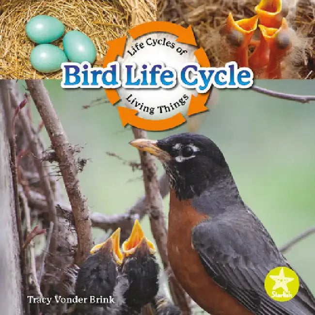 Bird Life Cycle by Tracy Vonder Brink
