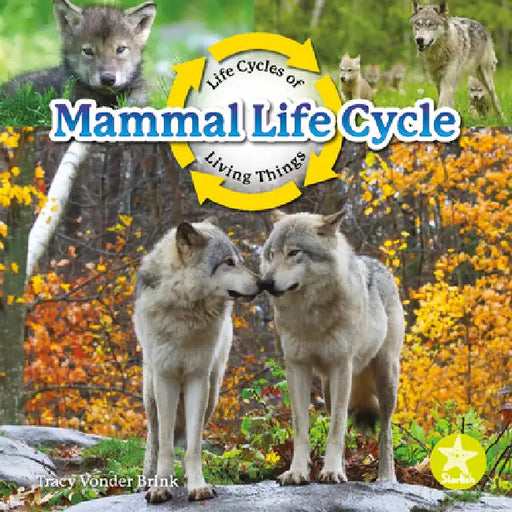 Mammal Life Cycle by Tracy Vonder Brink