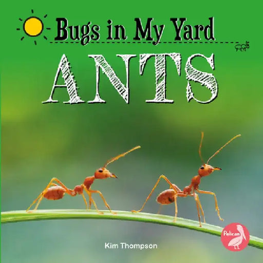 Ants by Kim Thompson