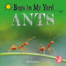 Ants by Kim Thompson