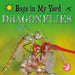 Dragonflies by Kim Thompson