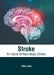 Stroke: An Issue of Neurology Clinics by Edie Lane