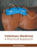 Veterinary Medicine: A Practical Approach by Kevin McLeod