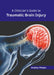A Clinician's Guide to Traumatic Brain Injury by Analise Phelps