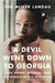 A Devil Went Down to Georgia: Race, Power, Privilege, and the Notorious Murder of Lita McClinton by Deb Miller Landau