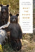 What the Bears Know: How I Found Truth and Magic in America's Most Misunderstood Creatures--A Memoir by Animal Planet's the Bear Whisperer by Steve Searles