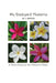 My Backyard Plumeria: A Photo Essay on the Plumeria Flower by J. Martin