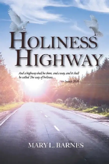 Holiness Highway by Mary L. Barnes