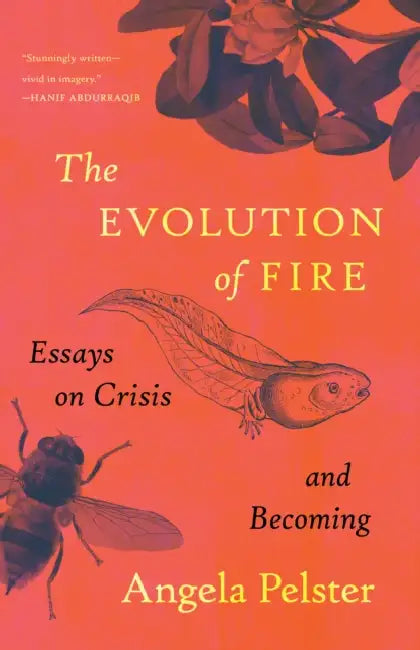 The Evolution of Fire: Essays on Crisis and Becoming by Angela Pelster