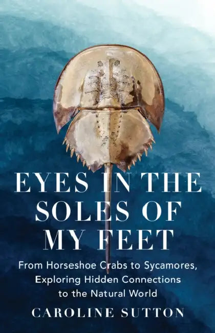 Eyes in the Soles of My Feet: From Horseshoe Crabs to Sycamores, Exploring Hidden Connections to the Natural World by Caroline Sutton