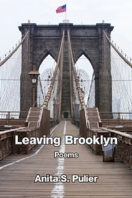 Leaving Brooklyn by Anita S. Pulier