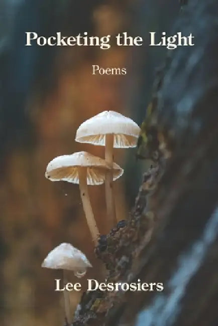 Pocketing the Light by Lee Desrosiers