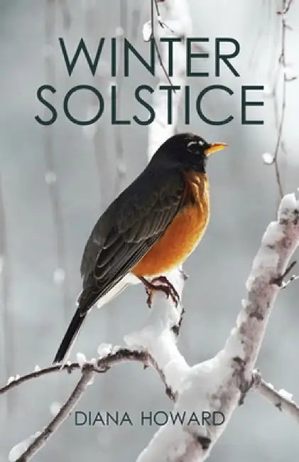 Winter Solstice by Diana Howard