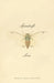 Spindrift Love by Jocelyn Holst Bolster