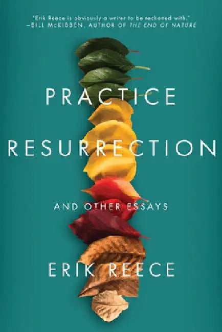 Practice Resurrection: And Other Essays by Erik Reece