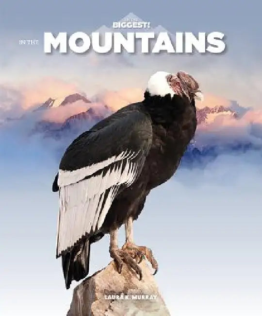 In the Mountains by Laura K. Murray