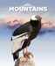 In the Mountains by Laura K. Murray