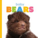 Baby Bears by Kate Riggs