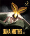 Luna Moths by Quinn M. Arnold
