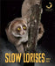 Slow Lorises by Quinn M. Arnold