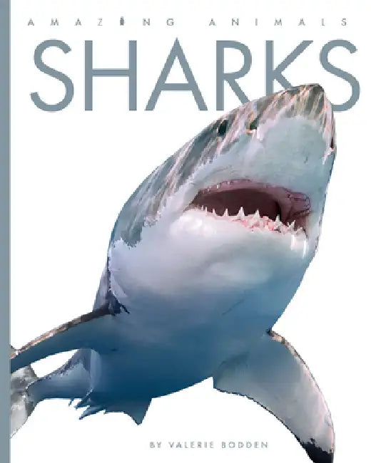 Sharks by Valerie Bodden